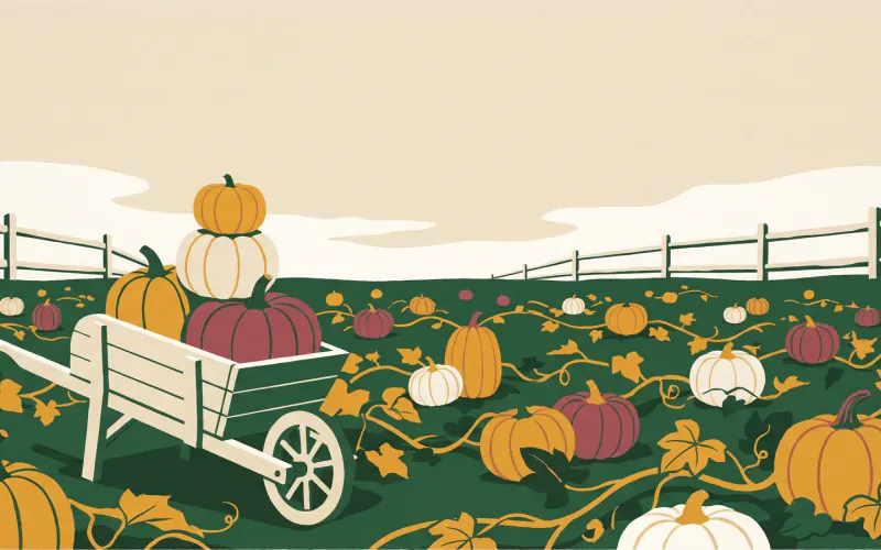 A pumpkin patch with pumpkins on sprawling vines and a wooden wheelbarrow loaded with picked pumpkins