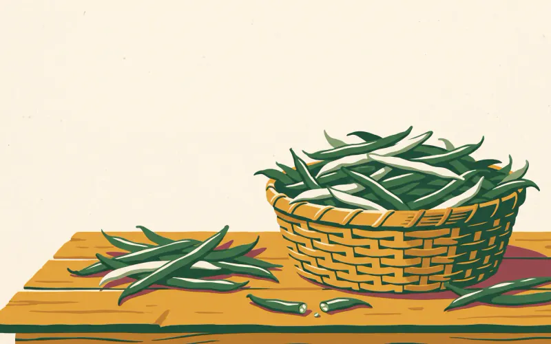 A woven basket heaped with fresh green snap beans, a loose handful beside it and a few beans snapped in half