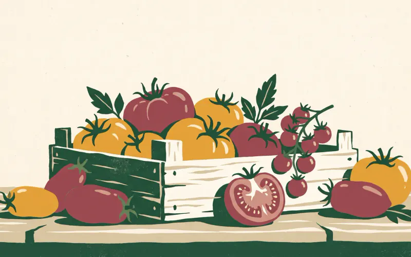 A wooden crate of mixed heirloom tomatoes — big slicers, plum tomatoes, and a cherry-tomato vine — with one tomato halved
