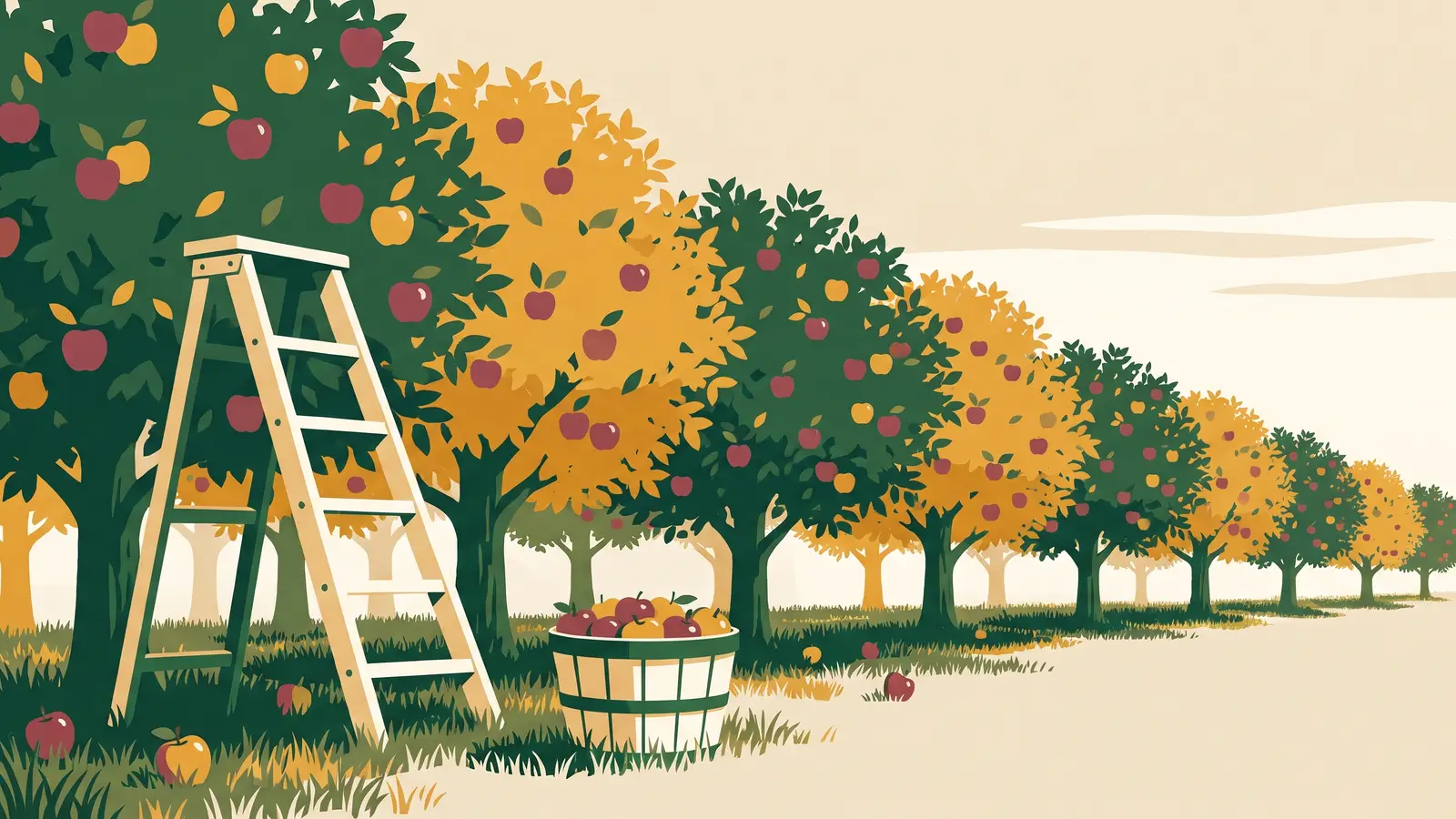 Illustration: an apple orchard at harvest — rows of trees heavy with red and golden apples, a picking ladder, and a bushel basket of apples in the grass