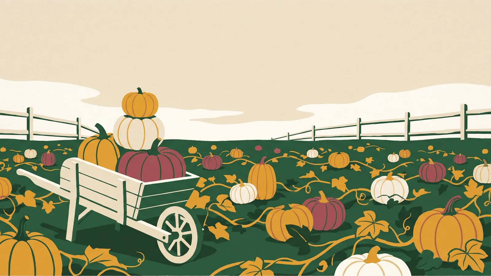 Illustration: a pumpkin patch with pumpkins on sprawling vines and a wooden wheelbarrow loaded with picked pumpkins