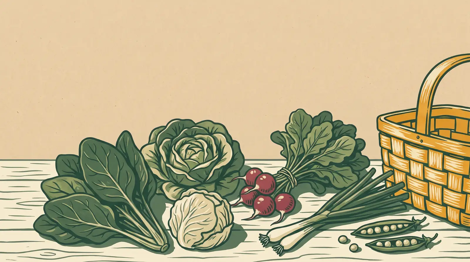 Illustration: early-spring greens — spinach, lettuce, radishes, green onions, and pea pods with a market basket