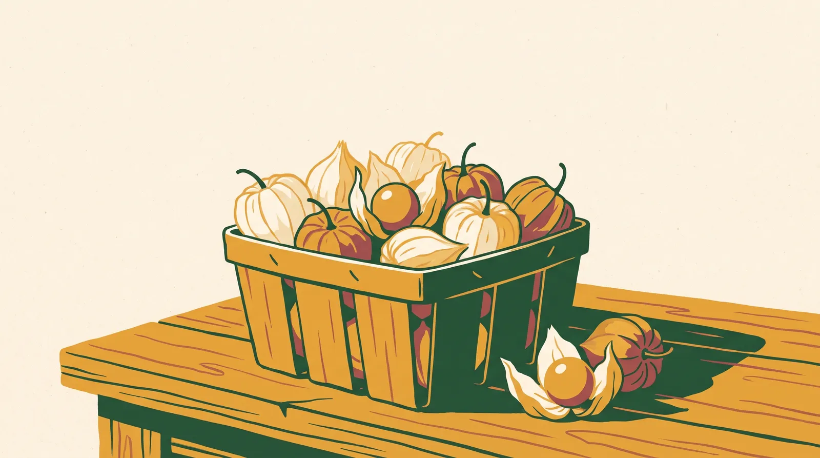 Illustration: a pint basket of ground cherries in papery lantern husks, with one husk peeled open to show the golden berry